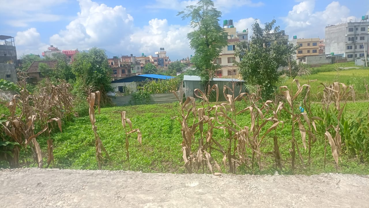 Picture of Suryabinayak Municipality, Bagmati